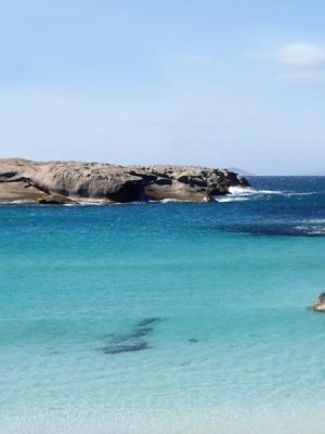 esperence-v2-1500x600